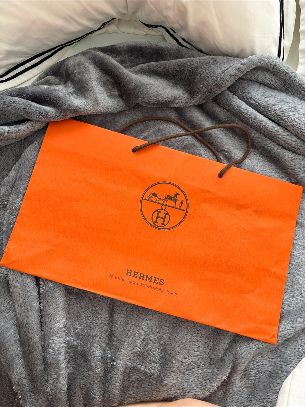 Hermes Shopping Bag with Brown Rope Handles